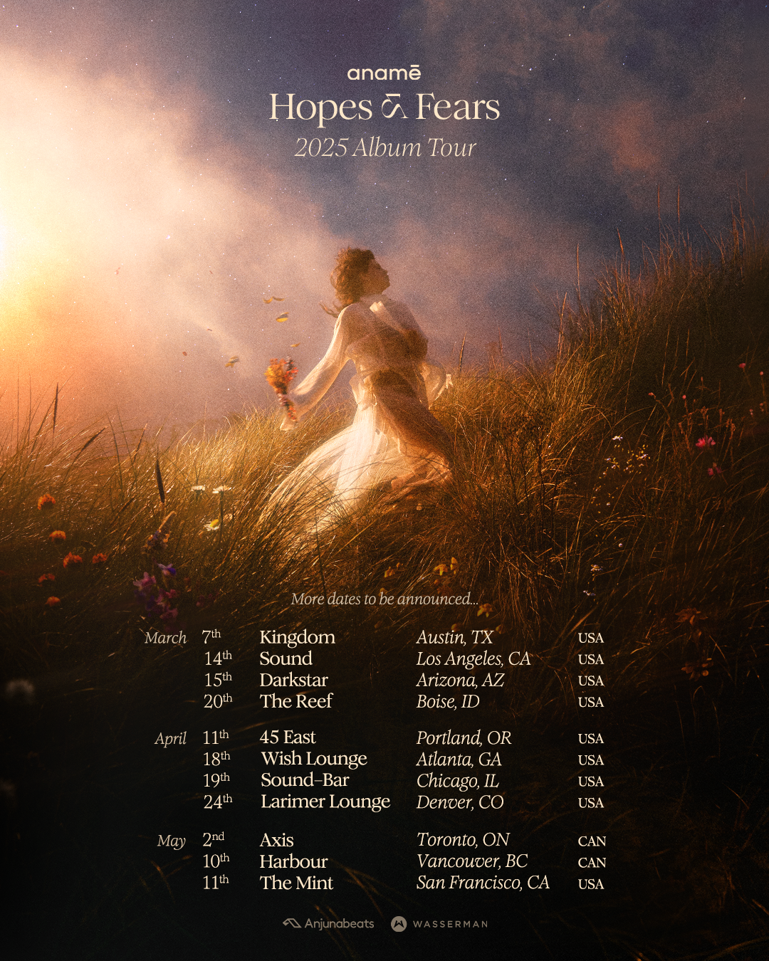 Hopes & Fears – Tour Flyer (4×5)